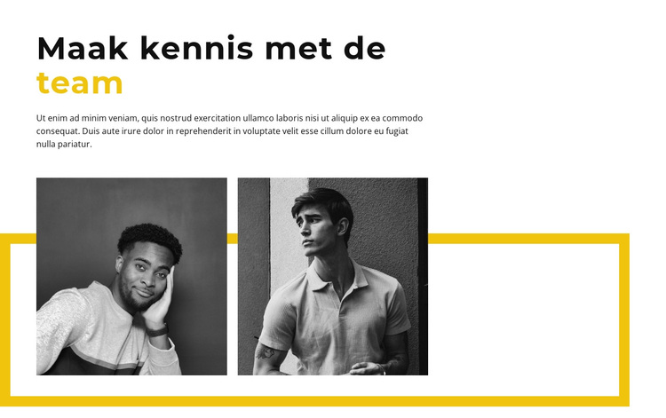 Mannelijk deel van het team WordPress-thema