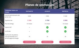 Diseño De Sitio Web Premium Para Nuestro Plan De Promoción