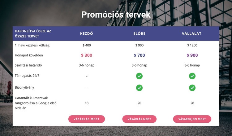 Promóciós tervünk WordPress Téma