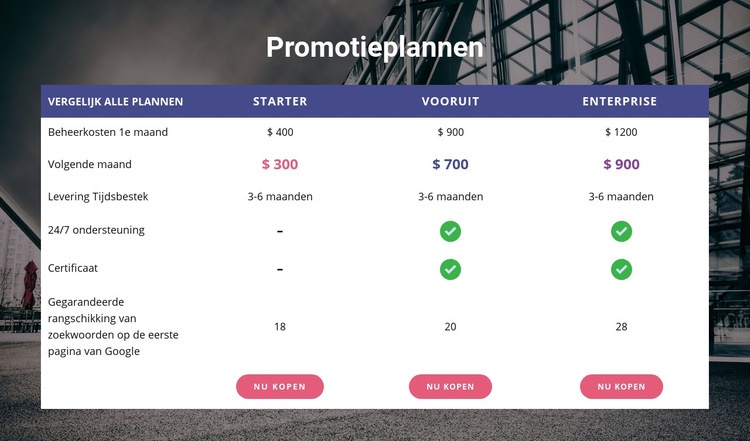 Ons promotieplan Sjabloon