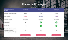 Nosso Plano De Promoção - Tema WordPress