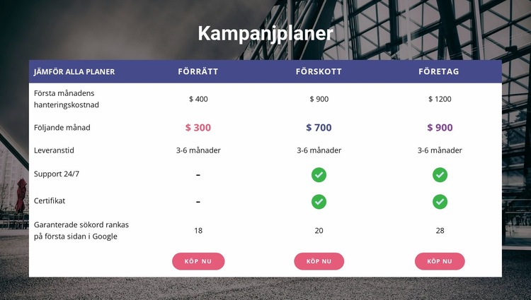 Vår marknadsföringsplan CSS -mall