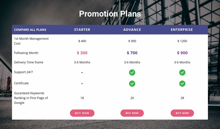 Our promotion plan Website Mockup