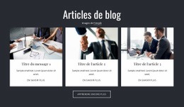 Articles De Blog – Maquette De Site Web Prête À L'Emploi