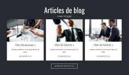 Articles De Blog : Modèle De Site Web Simple
