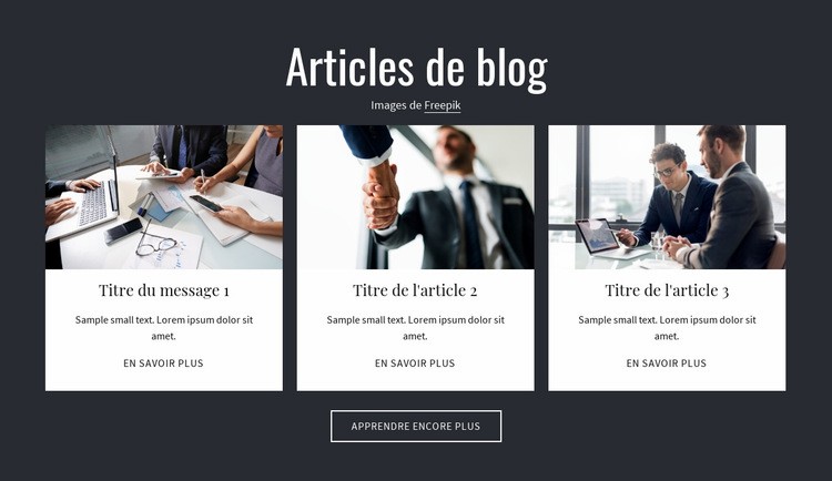 Articles de blog Thème WordPress