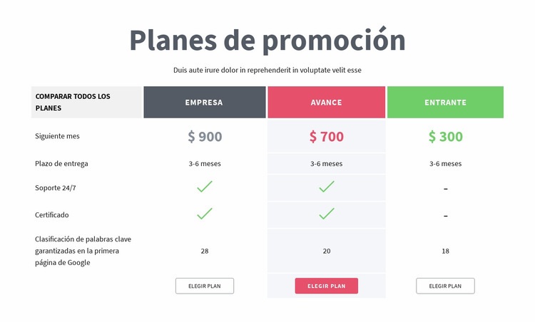 Planes de promoción Diseño de páginas web