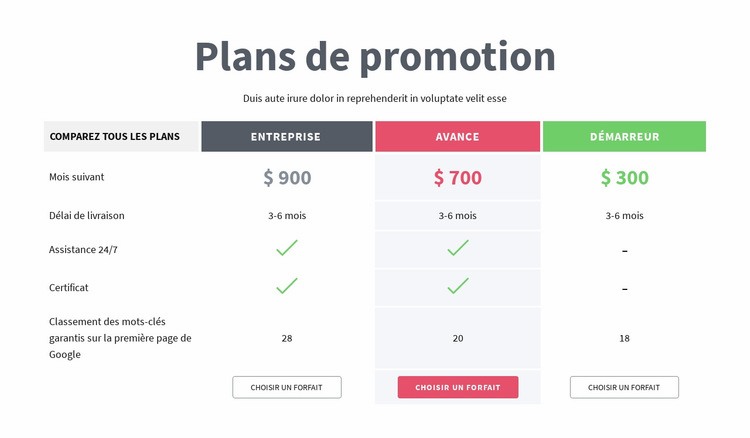 Plans de promotion Conception de site Web