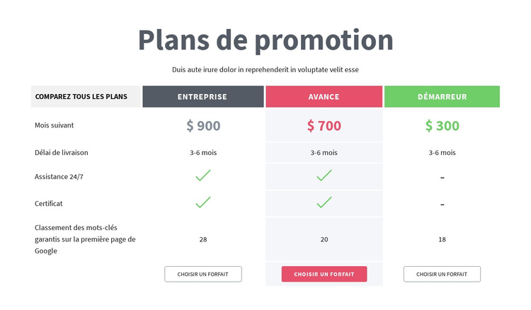 Plans de promotion Thème WordPress