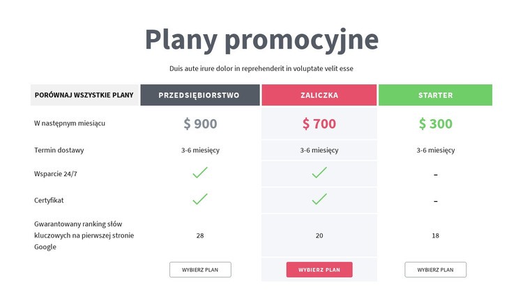 Plany promocyjne Makieta strony internetowej