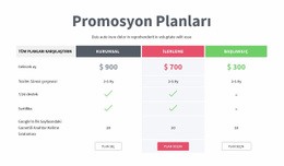 Promosyon Planları Için Premium Açılış Sayfası