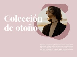 Colección Otoño A La Venta Sitio Web De Comercio Electrónico