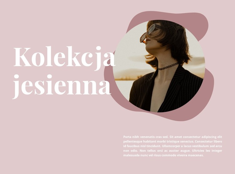 Jesienna kolekcja w wyprzedaży Szablon CSS