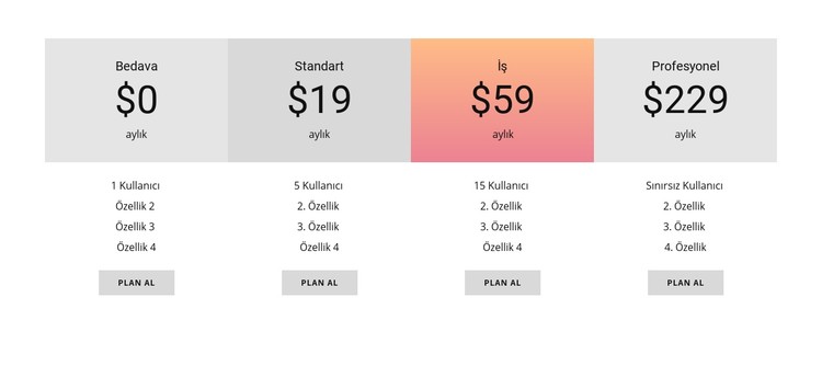 Ürününüzü nasıl fiyatlandırırsınız CSS Şablonu