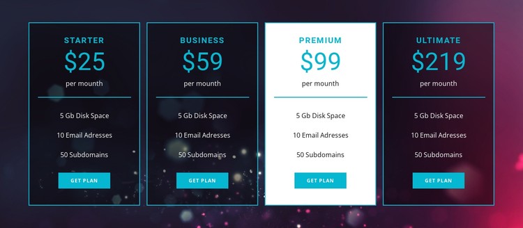 Business and premium plans CSS Template