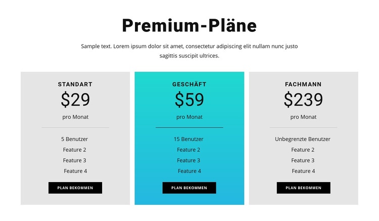Premium-Pläne Website design