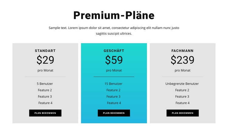 Premium-Pläne Website-Modell
