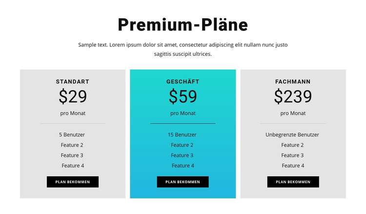 Premium-Pläne Website-Vorlage