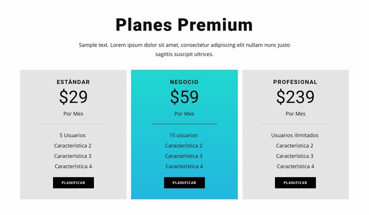 Planes Premium Diseño de páginas web