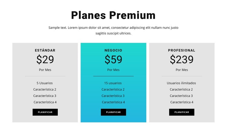Planes Premium Maqueta de sitio web