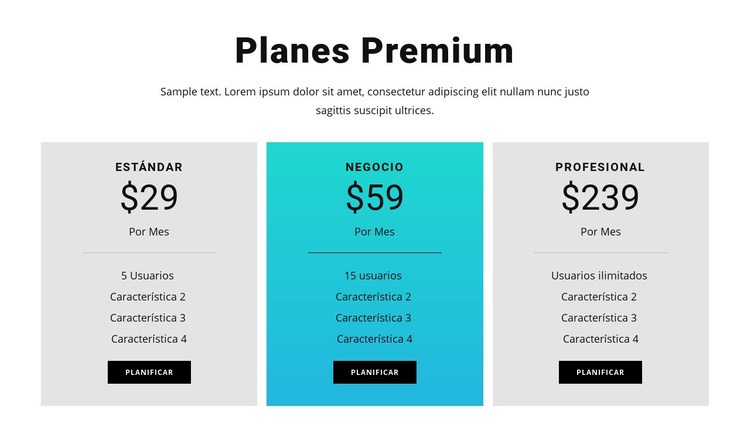 Planes Premium Plantilla