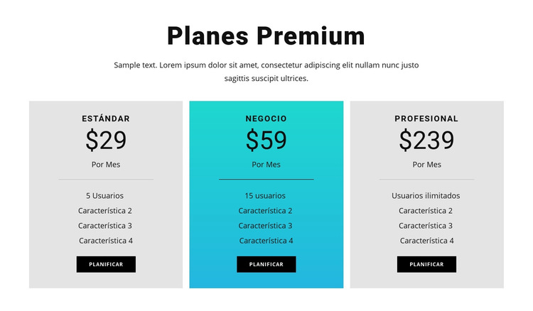 Planes Premium Plantilla de sitio web