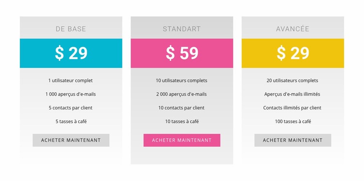 Plans de base, standard et avancés Maquette de site Web