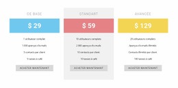 Modèle HTML5 Exclusif Pour Tarification Au Coût Plus