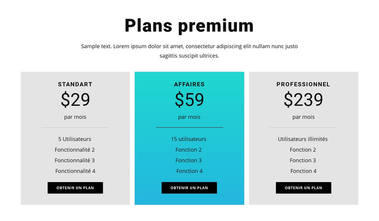 Plans premium Modèle de site Web