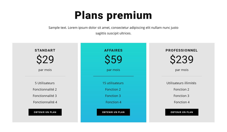 Plans premium Thème WordPress
