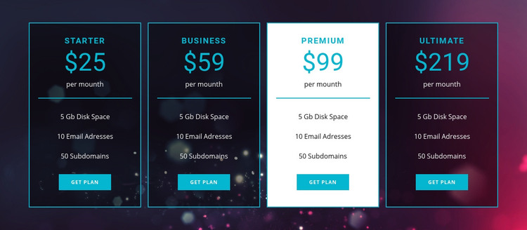 Business and premium plans Homepage Design
