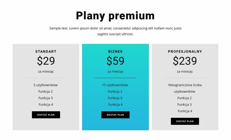 Plany premium Projekt strony internetowej