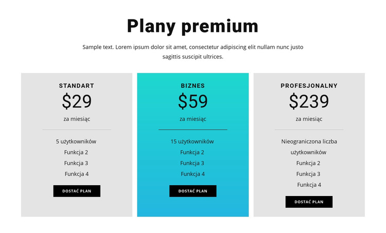 Plany premium Szablon witryny sieci Web