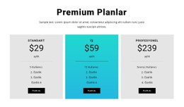 Premium Planlar