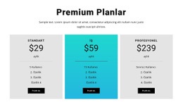 Premium Planlar