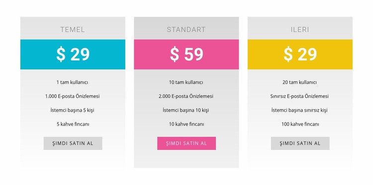 Temel, standart ve gelişmiş planlar Html Web Sitesi Oluşturucu