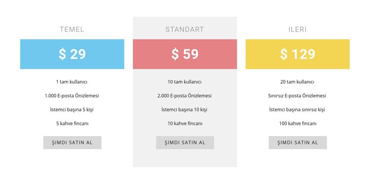 Maliyet artı fiyatlandırma Html Web Sitesi Oluşturucu