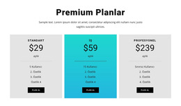 Premium Planlar