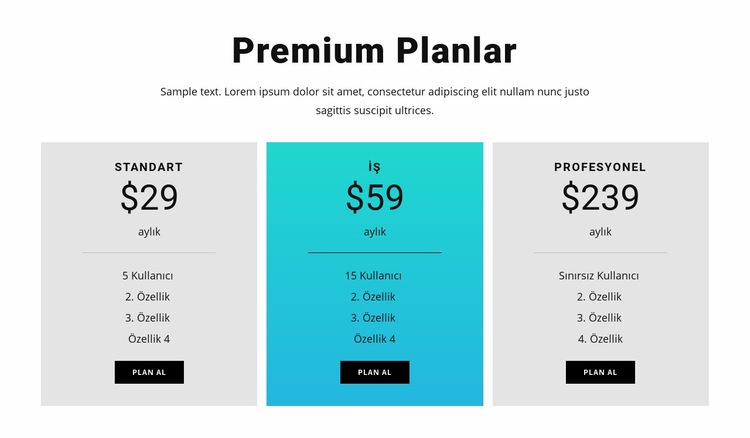 Premium Planlar Web sitesi tasarımı