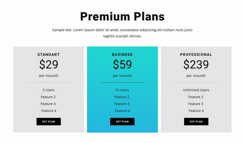 Premium Plans Web Page Designer