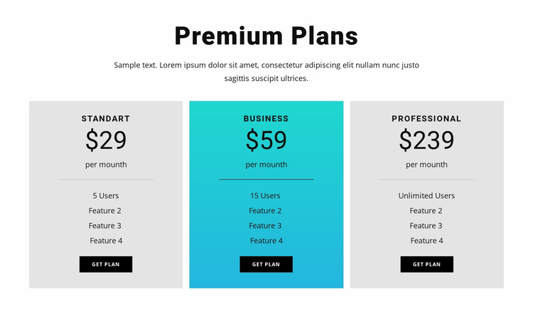 Premium Plans Website Design