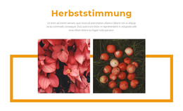 Herbstfarben In Der Galerie