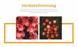 Herbstfarben In Der Galerie