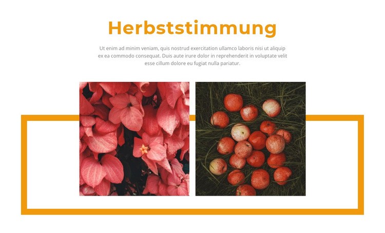 Herbstfarben in der Galerie Landing Page