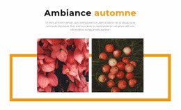 Couleurs D'Automne Dans La Galerie