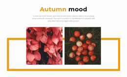 Autumn Colors In The Gallery - HTML Layout Builder