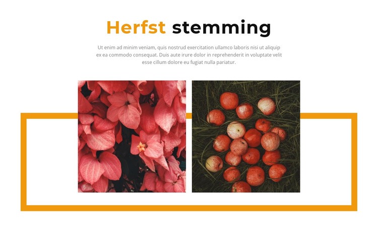 Herfstkleuren in de galerij Website mockup