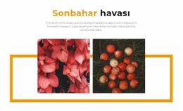 Galerideki Sonbahar Renkleri - Duyarlı HTML5 Şablonu