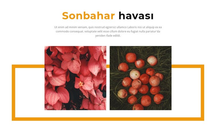 Galerideki sonbahar renkleri HTML5 Şablonu