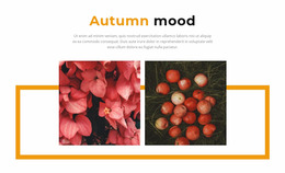 Website Layout For Autumn Colors In The Gallery